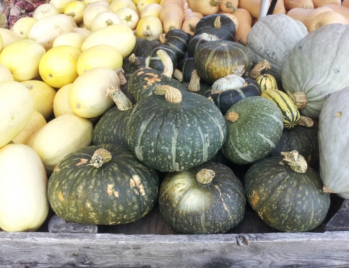 ‘Tis the season for winter squash