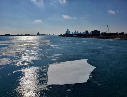 10 joys of spring’s arrival in Michigan