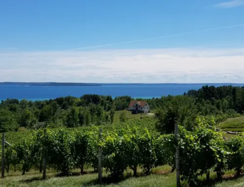 10 ways to celebrate Michigan Wine Month