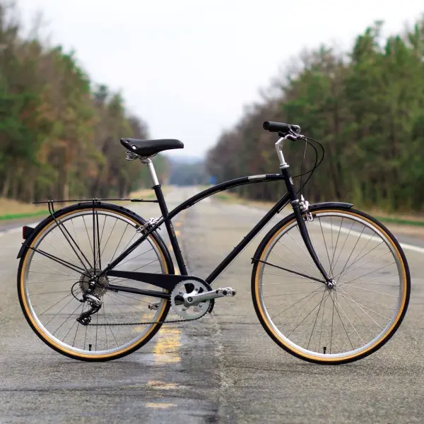 A Type 3-Speed Bike
