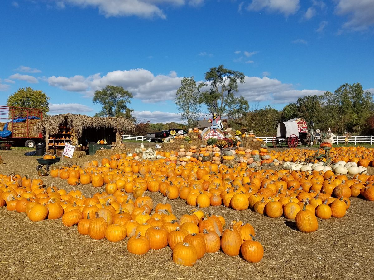 10 awesome Michigan Halloween traditions Buy Michigan Now