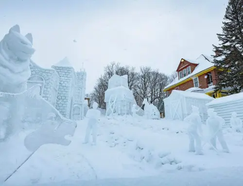 12 things to do in Michigan in February