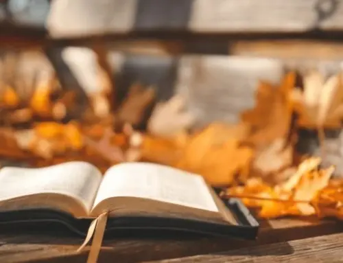 Fun fall reads by Michigan authors